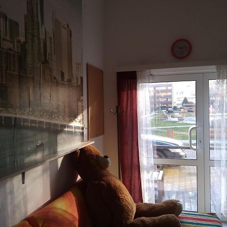 Apartament Przy Parku Noclegi Płock Εξωτερικό φωτογραφία
